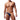 Sexy Transparent Silk Fabric Briefs Undies Underwear for Men  -  GeraldBlack.com