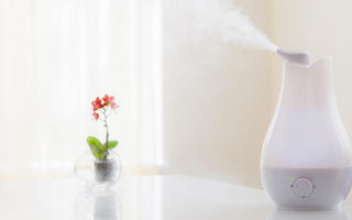 Improve Your Health And Life With A Humidifier