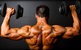 Becoming Herculean: A How-To Guide on Gaining Muscle