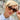 Women's Trendy Rivets Decor Plastic Cat Eye Frame UV400 Sunglasses for Women