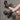 Women's Autumn Platform Square Heel Square Toe Sheepskin Cross-Tied Boots