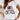 Fashion Girls Letter and Graphic Printed Half Sleeve White T-shirt for Women
