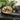 Crocodile Skin Waist Strap Designer Leopard Diamond Steel Buckle Men's Belt
