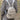 Women's College Daily Use Genuine Leather Solid Color Designer Zipper Backpack