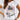 Fashion Girls Letter and Graphic Printed Half Sleeve White T-shirt for Women