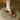 Women's Summer Open Toe Chunky Heel Narrow Band Split Leather Sandals