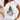 Fashion City Girl Cartoon Printed Short Sleeve White T-shirt for Women