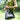 Women's Luxury Designer OL Fashion Genuine Leather Buckle Decor Top-handle Bag