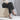 Women's Solid Color Buckle Strap Open Toe Sandals with Slim Super High Heels