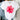 Women's Summer Minimal Fashion Letter Print European Sleeve T-shirt