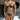 Delicate Fancy Lace 3Pcs Transparent Bra And Panty Set Uncensored Lingerie Garter Intimate Underwear  -  GeraldBlack.com