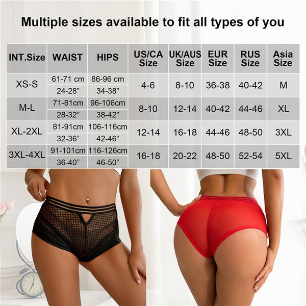 Sexy Mesh Sheer Seamless Panty For Women Plus Size Hollow Out Underpants High Waist Underwear Elastic Briefs  -  GeraldBlack.com