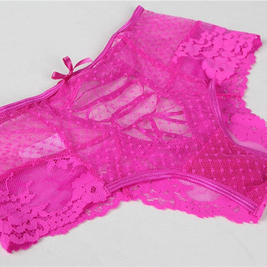 Women High Waist Briefs Sexy Panties Ladies Plus Size Underwear Sheer Lace Underpants Lingerie  -  GeraldBlack.com