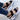 Women Peep Toe Heels Summer Lightweight Wedges Platform Heels Chaussure Femme  -  GeraldBlack.com