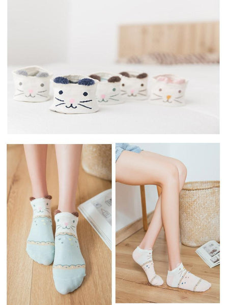 5 Pairs Cute Cat Animal Ear Short Casual Cotton Ankle Socks for Women - SolaceConnect.com