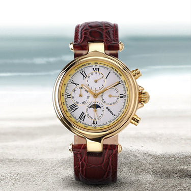 Automatic Watch for Men Mechanical Wristwatch Luxury Annual Calendar Sun Moon Self Winding Men Watch Waterproof Sea-gull  -  GeraldBlack.com