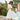 Bikini Cover Up Beach Dress Women Tunic Backless Kimono Swimsuit White Hollow Out Flowers Robe Swimwear Bathing Suit Beachwear  -  GeraldBlack.com