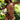 Bikini Women Swimsuit Brazilian Bikini Set Crochet Halter Beaded Tassel Top Sexy Hollow Out  Swimwear S-L  -  GeraldBlack.com