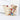 Butterfly Crystal Rhinestone Charm Purse Pendant & Key Chain  -  GeraldBlack.com