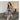 Button Elegant Pullover Sweater Pencil Dress Women Slim Elastic Knitted Sheath Bodycon Dresses Chic Simple Vestidos  -  GeraldBlack.com