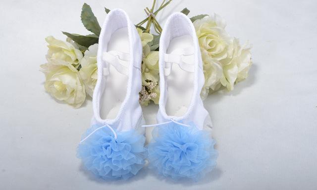 Canvas Soft Sole Ballet Dance Shoes with Flower Decoration for Girls - SolaceConnect.com