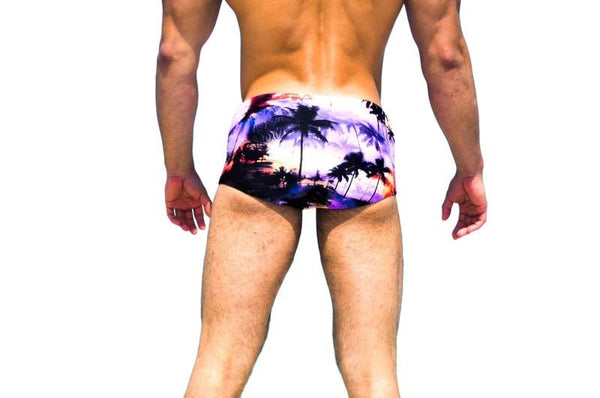 Classic Cut Brazilian Sexy Men's Bikini Swimwear Swimming Swimsuits - SolaceConnect.com