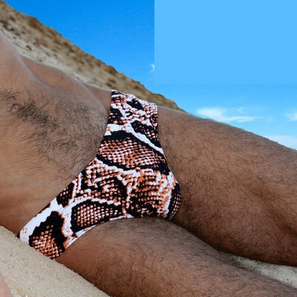 Classic Cut Men's Sexy Brazilian Swimsuits Bikini Briefs Swimwear - SolaceConnect.com