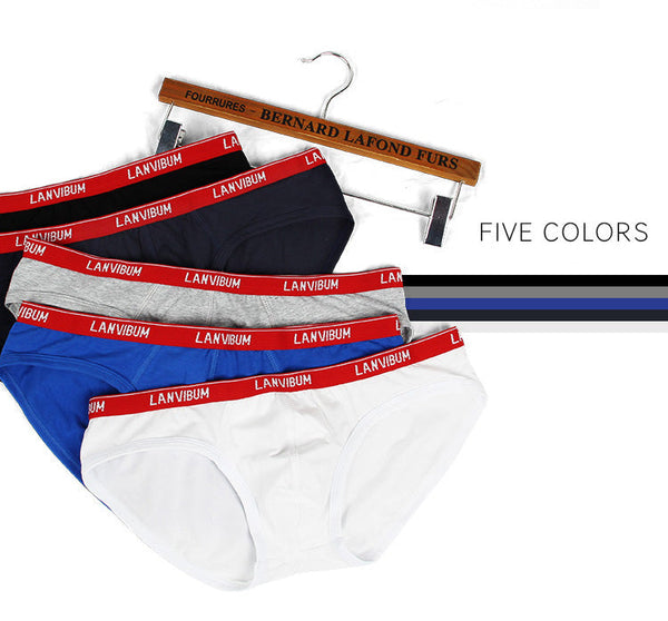 Classic Style Sexy Men's Solid Pattern Cotton Hipster Briefs Underwear - SolaceConnect.com