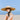 Female Straw Patchwork Big Brim UV Beach Sun Garden Hat with Long Ribbon  -  GeraldBlack.com