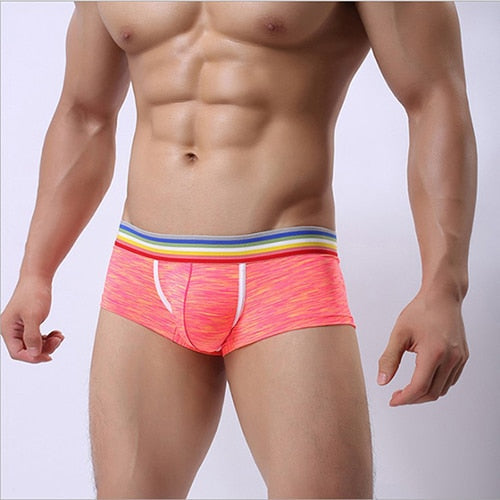 L XL XXL Men's Sexy Boxer Shorts Plus Size Underpants in 4 Colors - SolaceConnect.com