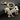 Lovely Crystal Rhinestone Animal Horse Pendant Key Chains for Car & Handbag - SolaceConnect.com