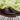 Men's Classic Casual Genuine Leather Oxford Rubber Flat Shoes  -  GeraldBlack.com