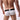 Men's Nylon Solid Color Low Waist Sexy Underpants Briefs - SolaceConnect.com