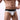 Men's Nylon Solid Color Low Waist Sexy Underpants Briefs - SolaceConnect.com