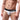 Men's Nylon Solid Color Low Waist Sexy Underpants Briefs - SolaceConnect.com