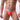 Men's Nylon Solid Color Low Waist Sexy Underpants Briefs - SolaceConnect.com