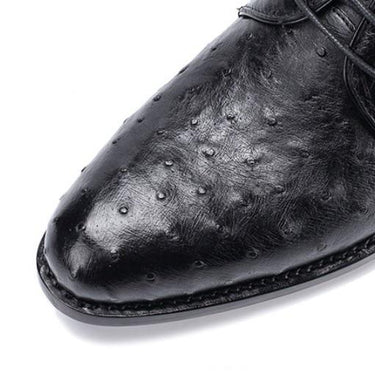 Men's Pointed Toe Lace Up Luxury Leather Shoes for Casual Party Formal - SolaceConnect.com