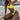 Neon Color 3 Piece Push Up Skirt Style Bikini Set with Mesh and Printed Design  -  GeraldBlack.com