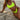 Neon Color 3 Piece Push Up Skirt Style Bikini Set with Mesh and Printed Design  -  GeraldBlack.com