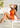 Plus Size Women's Fringe Tankini High Waist 2 Piece Swimsuit Set  -  GeraldBlack.com