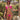 Sexy Micro Bikini Women Pentagram Design Transparent Swimwear Neon Clear Strap See Through Thong Swimsuit  -  GeraldBlack.com