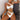 Sexy Women's Hollow Out High Waist Bandage Bikini Biquini Swimsuit Swimwear - SolaceConnect.com
