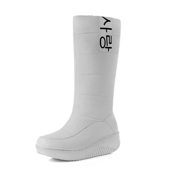 Size 35-44 Ladies Snow Boots with Wedges Heels Slip On & Fur Inside - SolaceConnect.com