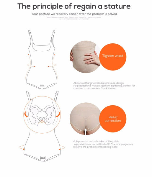 Slimming Underwear Shaper Belt for Waist Trainer Shapewear Slim Belly - SolaceConnect.com