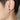 Stainless Steel Twelve Constellations and Sagittarius Unisex Stud Earrings  -  GeraldBlack.com