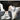 Street Style Men's Plus Size Height Increasing Chunky Sneakers Casual Shoes - SolaceConnect.com