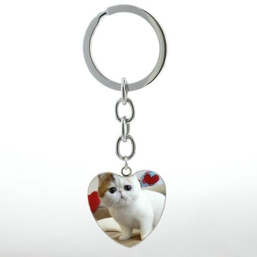 Unisex Cute White Scottish Burmese Tabby Cat Animal Fold Keychain Jewelry - SolaceConnect.com