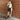 Vintage Style Brown High Waist Straight Patched Women's Fashion Jeans Pants  -  GeraldBlack.com