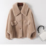 Women's Fur Coat Winter Casual Sheep Shearling Coats Female Short Wool Jackets Korean Style - SolaceConnect.com