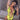 Women Neon Leopard Snake Bandage Padded High Leg Thong One-piece Swimwear  -  GeraldBlack.com